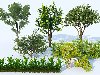 Various Types of Arbor Trees With Green Leaves And Different Shapes For Landscaping 3d model