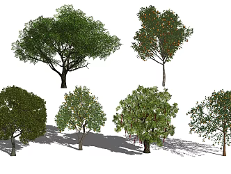Fruit Tree Pear Tree Pineapple Tree Orange Tree 3d model