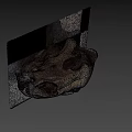 Animal skull display on black and white checkered platform with natural elements background