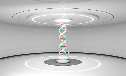 interactive device DNA gene education equipment gene interactive display platform 3d model