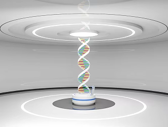 interactive device DNA gene education equipment gene interactive display platform 3d model