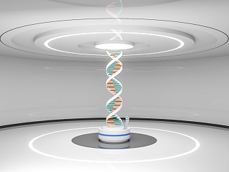 interactive device DNA gene education equipment gene interactive display platform 3d model