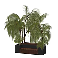 Stylish Outdoor Chair With Lush Palm Trees And Green Plants In Garden Area