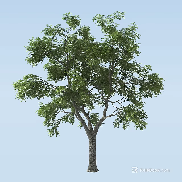 Lush Green Tree With Thick Trunk And Dense Foliage Against Blue Sky 3d model 