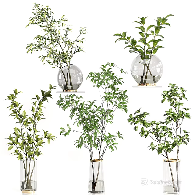 Various Decorative Glass Vases with Green Leafy Plants and Fresh Branches 3d model 
