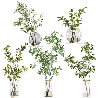Various Decorative Glass Vases with Green Leafy Plants and Fresh Branches 3d model