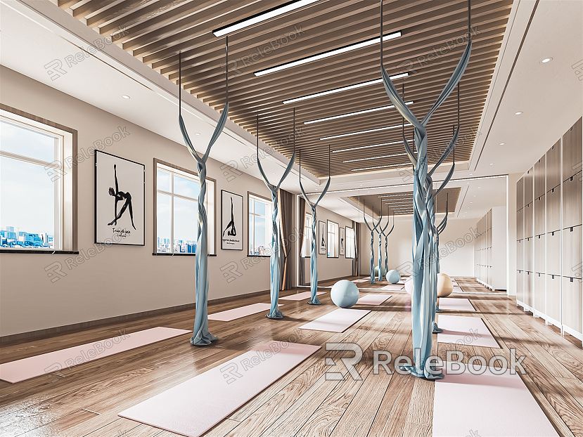 Modern Yoga Room Private Teaching Room Gym Pilates Exercise Room Yoga Mat Yoga Ball Hanging Rope Hanging Ring model