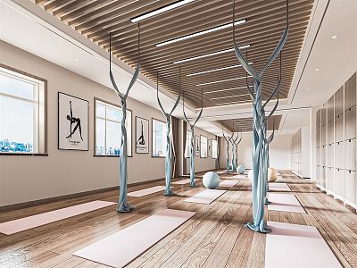 Modern Yoga Room Private Teaching Room Gym Pilates Exercise Room Yoga Mat Yoga Ball Hanging Rope Hanging Ring 3d model