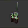 Black Woven Baskets Filled With White Cotton Swabs For Daily Household Use