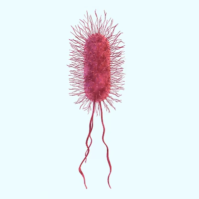 modern bacteria 3d model