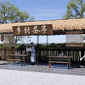 Rural Landscape Featuring Thatched Roof Tea Pavilion With Wooden Tables Benches And Surrounding Trees
