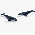 Two Sleek Black Whales Displayed Against White Background With Realistic Details