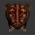 Fat Red Spotted Frog With Short Limbs And Round Body On Dark Background 3d model