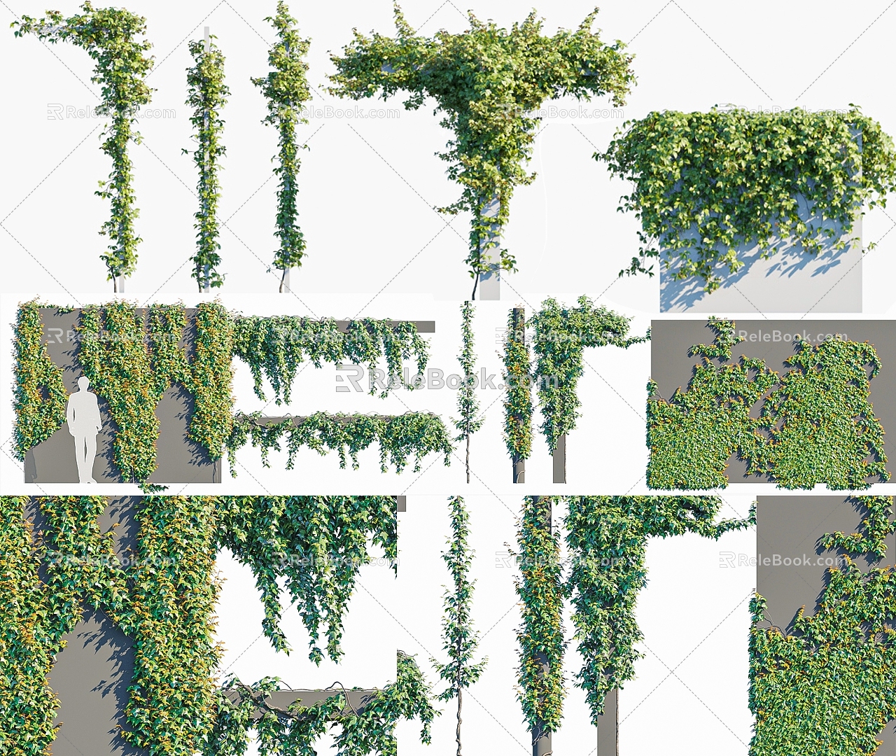 Modern Vine Landscape Vine Man Green Plant Wall Green Plant Climbing Vine Wall Parthenocissus 3d model