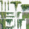 Modern Vine Landscape Vine Man Green Plant Wall Green Plant Climbing Vine Wall Parthenocissus 3d model