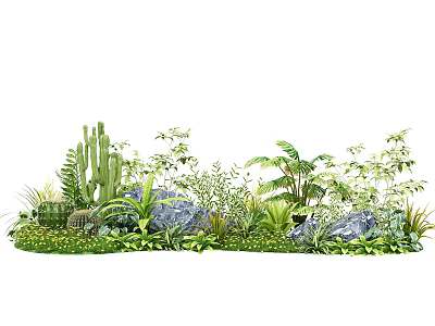 Various Types Of Green Plants Including Cactus Palm Leaves And Stones For Garden Decoration 3d model
