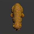 3D Cheetah Cub Model with Yellow Black Spotted Fur Red Eyes Sitting on Reflective Surface