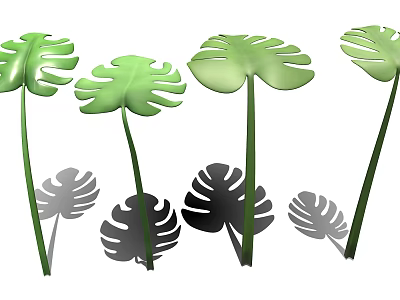 Set Of Green Monstera Leaves With Decorative Shadows In Natural Light 3d model