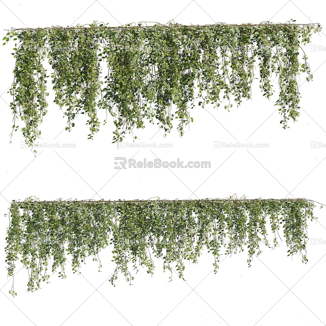 Modern Vine Green Vine 3d model