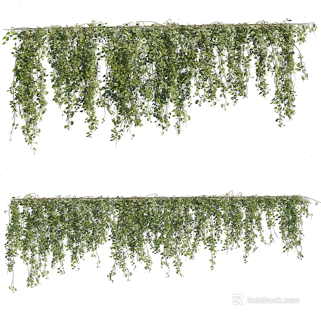 Lush Green Hanging Vines with Foliage for Decorative Home and Garden Decoration 3d model 