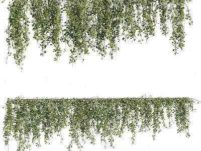 Lush Green Hanging Vines with Foliage for Decorative Home and Garden Decoration 3d model