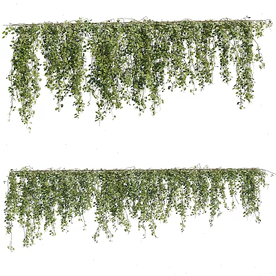 Lush Green Hanging Vines with Foliage for Decorative Home and Garden Decoration 3d model
