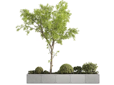 Concrete Outdoor Tree Planter with Green Tree and Small Shrubs in Garden 3d model