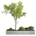 Concrete Outdoor Tree Planter with Green Tree and Small Shrubs in Garden