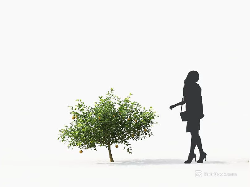 Tree With Fruits Beside Woman Carrying Bag In High Heels On White Background 3d model 
