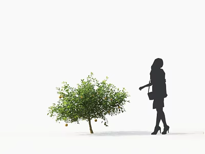 Tree With Fruits Beside Woman Carrying Bag In High Heels On White Background 3d model