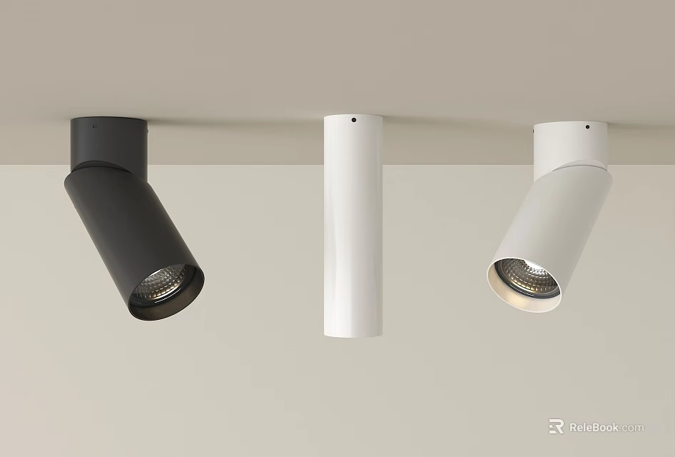 Modern Black And White Downlights And Spotlights With Sleek Ceiling Design 3d model 