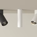 Modern Black And White Downlights And Spotlights With Sleek Ceiling Design