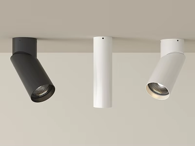 Modern Black And White Downlights And Spotlights With Sleek Ceiling Design 3d model