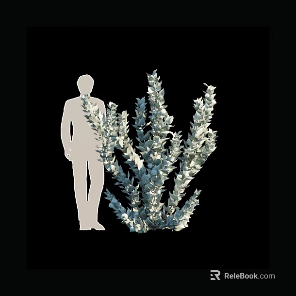 Arbor With Silver Gray Leaves Beside Person Silhouette On Black Background 3d model 