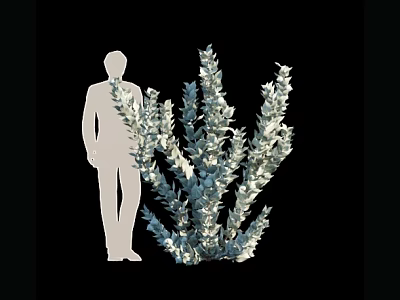 Arbor With Silver Gray Leaves Beside Person Silhouette On Black Background 3d model