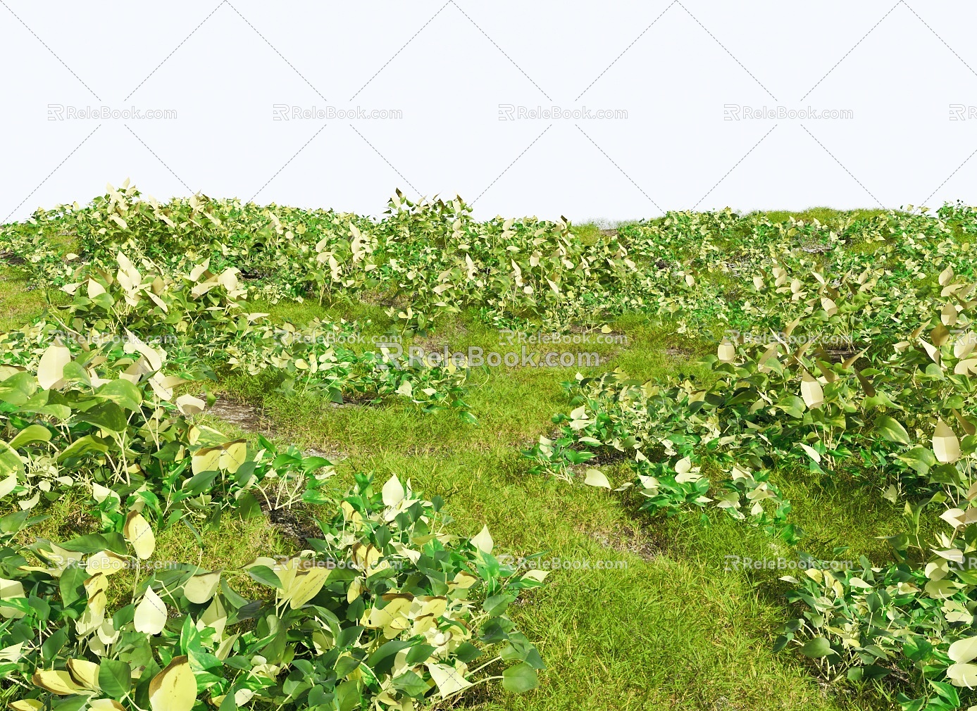 Modern Grassland Shrub Grass Green Plant Shrub Plant Pile Landscape Tree 3d model