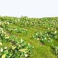 Modern Grassland Shrub Grass Green Plant Shrub Plant Pile Landscape Tree 3d model