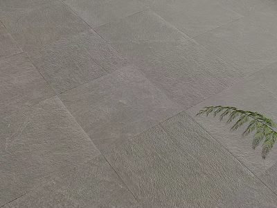 Gray Textured Stone Tiles Neatly Laid Floor With Small Green Plant In Corner 3d model