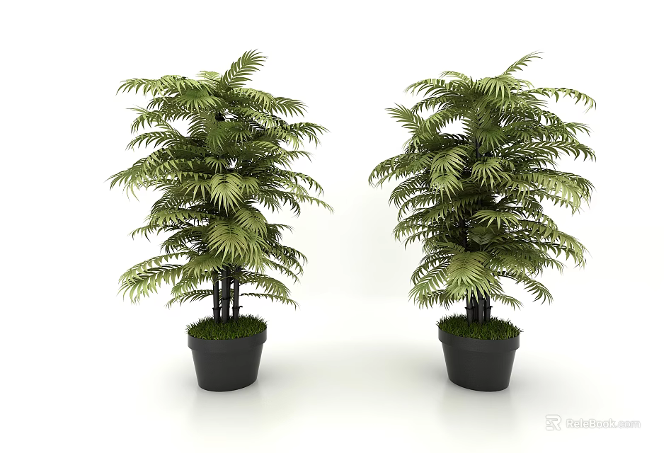 Lush Green Potted Plants With Foliage In Black Planters For Indoor Decoration 3d model 