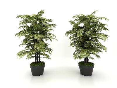 Lush Green Potted Plants With Foliage In Black Planters For Indoor Decoration 3d model