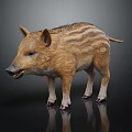 Baby Wild Boar with Brown Stripes Standing on Black Background Showing Reflection