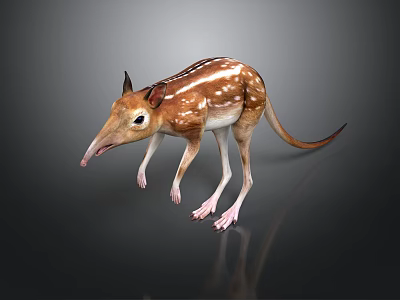 Aardvark with Brown and White Stripes Long Snout Big Ears and Slender Legs 3d model
