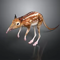 Aardvark with Brown and White Stripes Long Snout Big Ears and Slender Legs