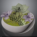 Succulent Plants in White Bowl with Purple Flowers Green Leaves and Lush Moss