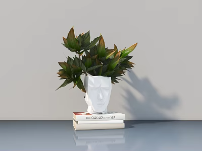 Potted Plant with Green and Red Leaves in White Face Shaped Vase on Stacked Books 3d model