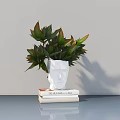 Potted Plant with Green and Red Leaves in White Face Shaped Vase on Stacked Books