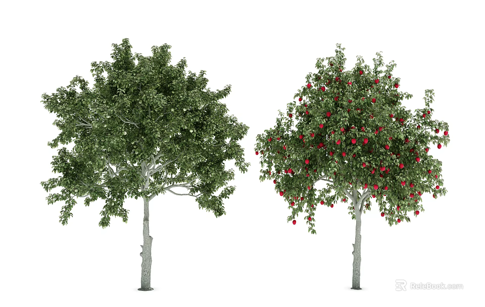 Two Arbor Trees With Lush Green Leaves And Red Fruits In Garden 3d model 