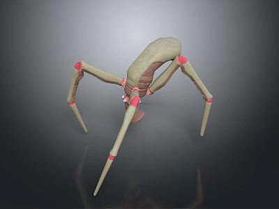 Spider Like Biomechanical Game Movie Character With Long Thin Legs And Red Accents 3d model