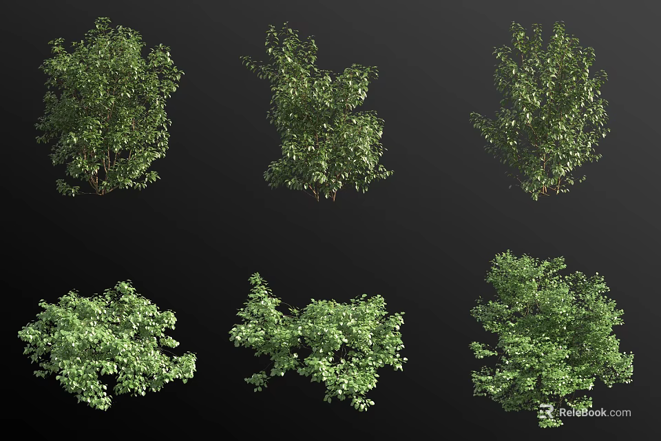Different Green Bushes With Various Shapes And Lush Foliage For Garden Landscaping 3d model 