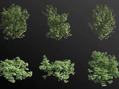 Different Green Bushes With Various Shapes And Lush Foliage For Garden Landscaping 3d model
